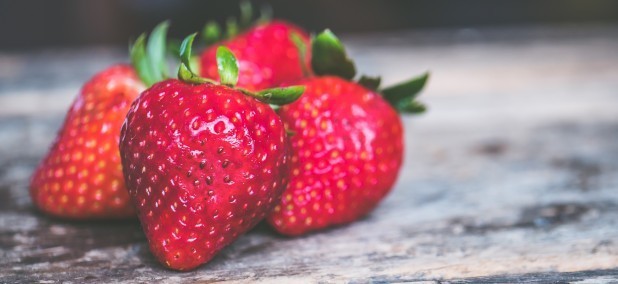 Erdbeeren pflanzen: Hier findest du alles was du brauchst, um Erdbeeren zu pflanzen sowie tolle Erdbeer-Rezepte!