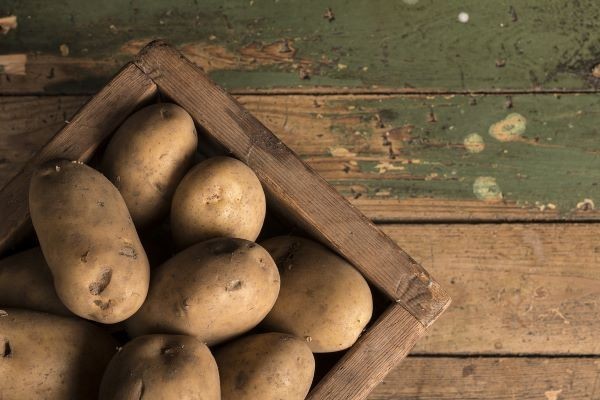 Kartoffeln machen nicht dick, sondern sind eine sättigende und nährstoffreiche Beilage für viele Gerichte.