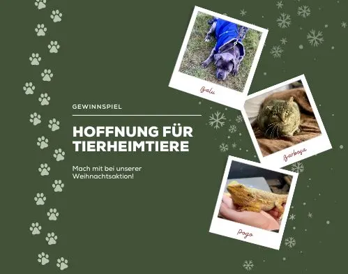 Gewinnspiel für Fellnasen