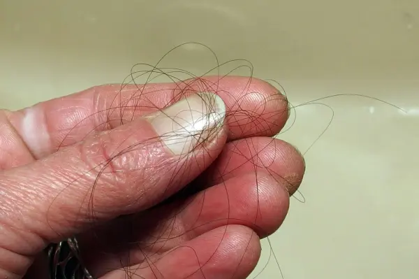 Eine Hand hält verfilzte Haare, die aus einem Abfluss gezogen wurden, um eine Verstopfung zu lösen.