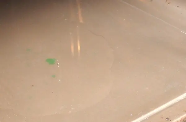 Ein verschmutzter Backofen mit einer glitschigen, feuchten Oberfläche zeigt Rückstände nach der Dampfreinigung.