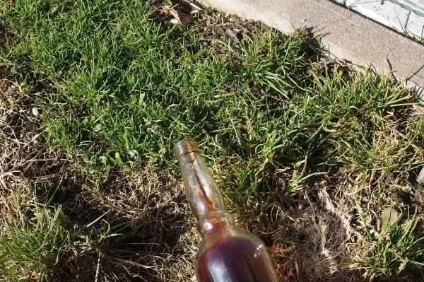 Eine braune Flasche wird auf dem Rasen gehalten, um Hunde vom Vorgarten fernzuhalten. Der Rasen ist grün und gepflegt.