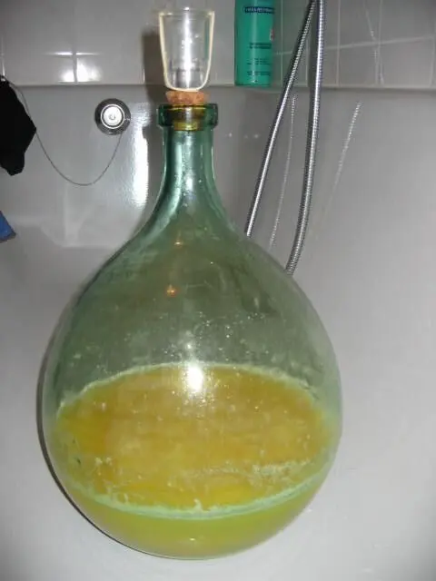 Ein großer Glasballon enthält gärenden Orangenwein, steht in einer hellen Umgebung mit Fliesen im Hintergrund.