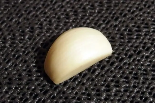 Ein Knoblauchzehe liegt auf einem dunklen Untergrund. Diese zeigt ihre glatte, glänzende Oberfläche in natürlicher Form.