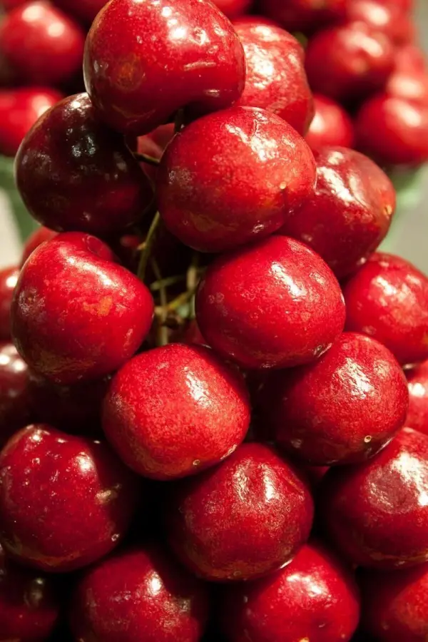 Lege frische Kirschen in Wasser, um Maden und Würmer zu entdecken – so wird dein Obst wirklich sauber und appetitlich.