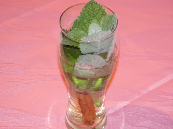 Ein Glas Zimtwein mit frischen Minzblättern und Zimtstange steht auf einem pinken Tisch.