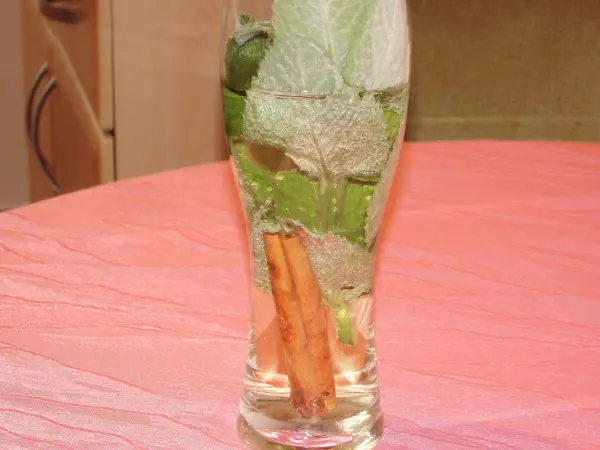 Ein Glas mit frischen Minzblättern und einer Zimtstange steht auf einem pinken Tisch und wirkt erfrischend.