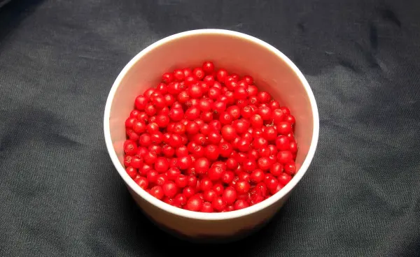 Eine Schüssel mit roten Johannisbeeren steht auf einem dunklen Untergrund und wirkt frisch und saftig für ein Fruchtsäurepeeling.