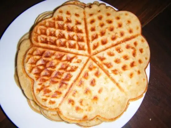 Goldbraune Waffeln liegen auf einem weißen Teller, perfekt geformt und warten darauf, serviert zu werden.