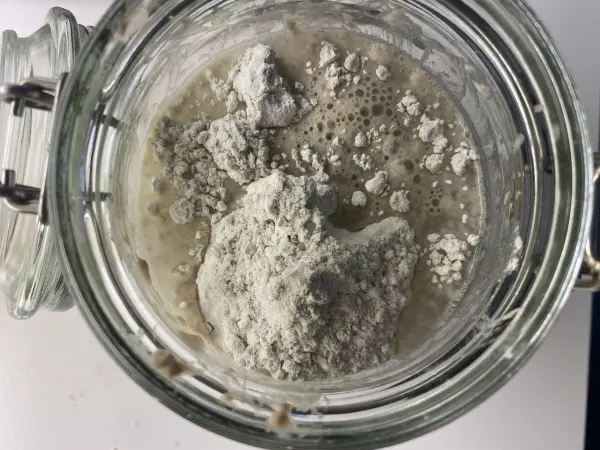 Ein Glas mit Sauerteig zeigt eine Mischung aus blubberndem Anstellgut und Mehl, bereit zum Fermentieren.