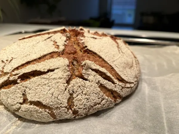 Ein frisch gebackenes Sauerteigbrot liegt auf Backpapier und zeigt eine goldene Kruste mit einer bestäubten Oberfläche.