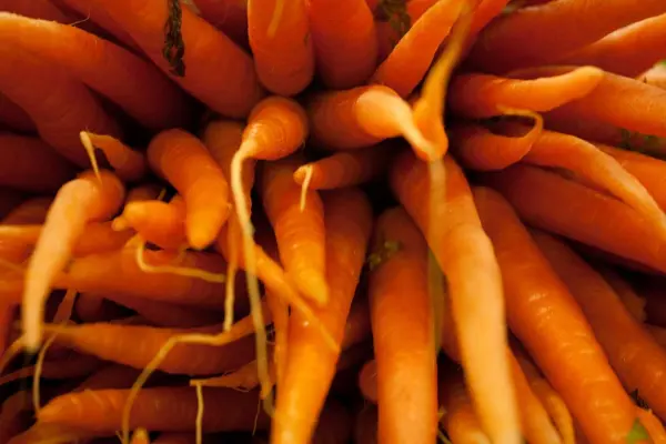 Karotten liegen eng aneinander, ihre Spitzen zeigen nach außen, in einem nahen, chaotischen Detailblick auf die orange Wurzeln.