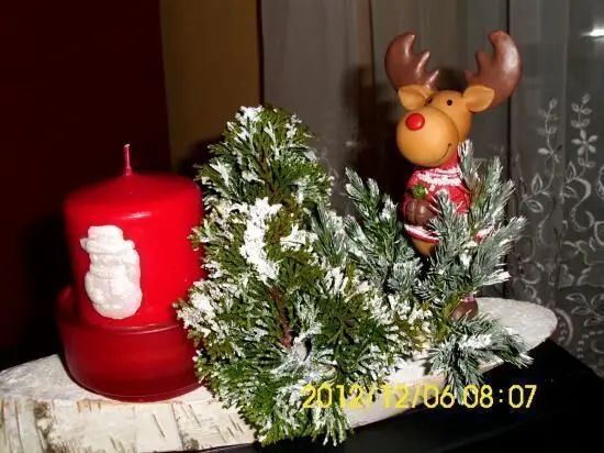 Ein roter Weihnachtskerze steht neben einem dekorativen Rentier und grünen Tannenzweigen in festlicher Atmosphäre.