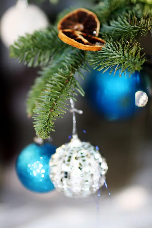 Bunte Weihnachtskugeln hängen an einem grünen Tannenbaumzweig und sind mit einer getrockneten Fruchtscheibe dekoriert.