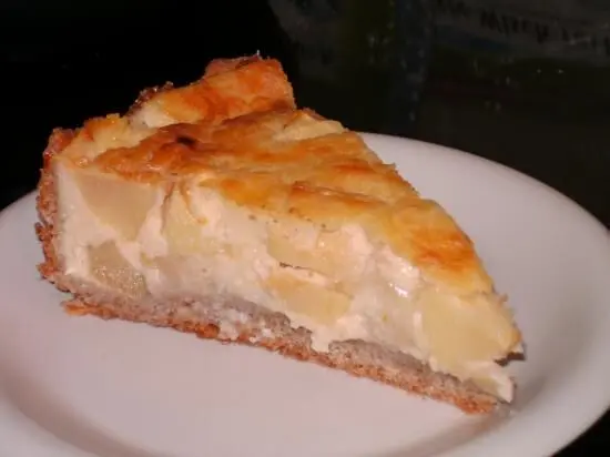 Ein Stück Apfel-Pudding-Kuchen liegt auf einem Teller, mit einer goldbraunen, knusprigen Oberfläche und saftigen Apfelstücken.