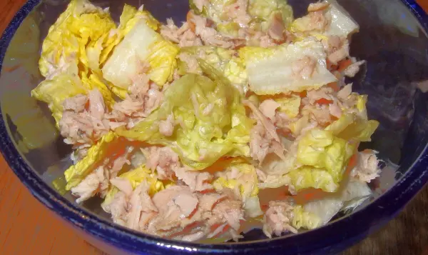 Ein Thunfisch-Salat liegt in einer Schüssel, die frische Blätter und Thunfisch vermischt, appetitlich angerichtet.