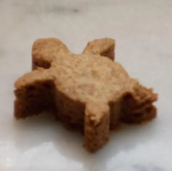 Ein Buttergebäck in Form einer Schildkröte liegt auf einem hellen Tisch und wartet darauf, gegessen zu werden.