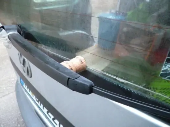 Ein Scheibenwischer auf einer Autoscheibe wird mit einem Weinkorken abgestützt, um das Festfrieren zu verhindern.