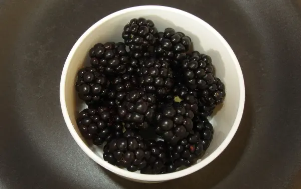 Frische, saftige Beeren, besonders Brombeeren, liegen in einer weißen Schüssel auf einem dunklen Tisch.