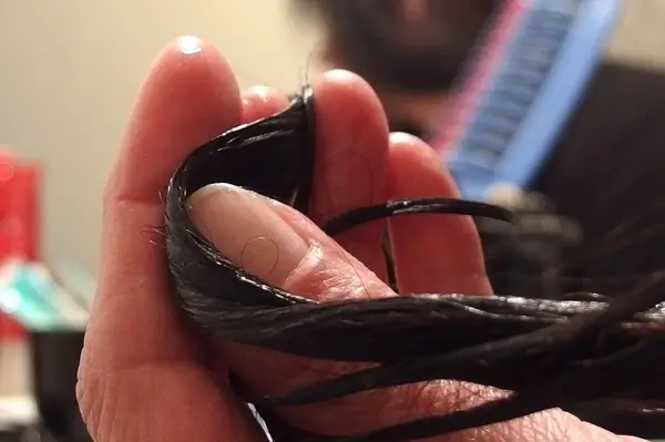 Eine Hand hält glänzende Haare, die mit Kokosöl behandelt sind, während im Hintergrund ein Laptop sichtbar ist.