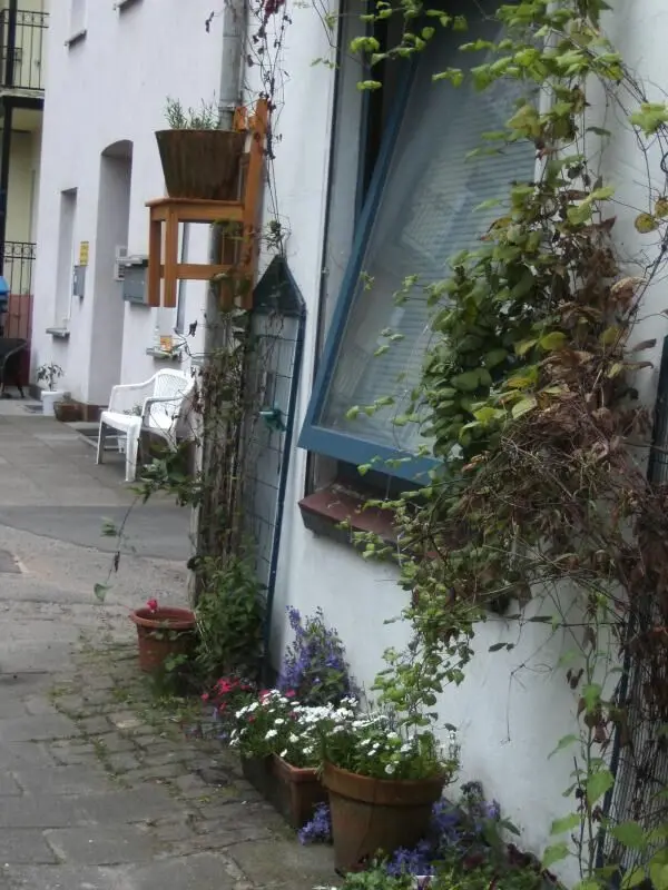 Blumen in Töpfen schmücken die Hauswand, während das Fenster offen steht und eine einladende Atmosphäre schafft.