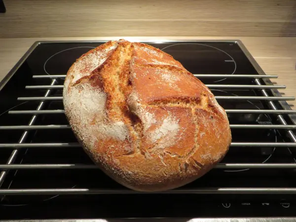 Ein frisch gebackenes Molkebrot ruht auf einem Gitter über einem Elektroherd in einer modernen Küche.