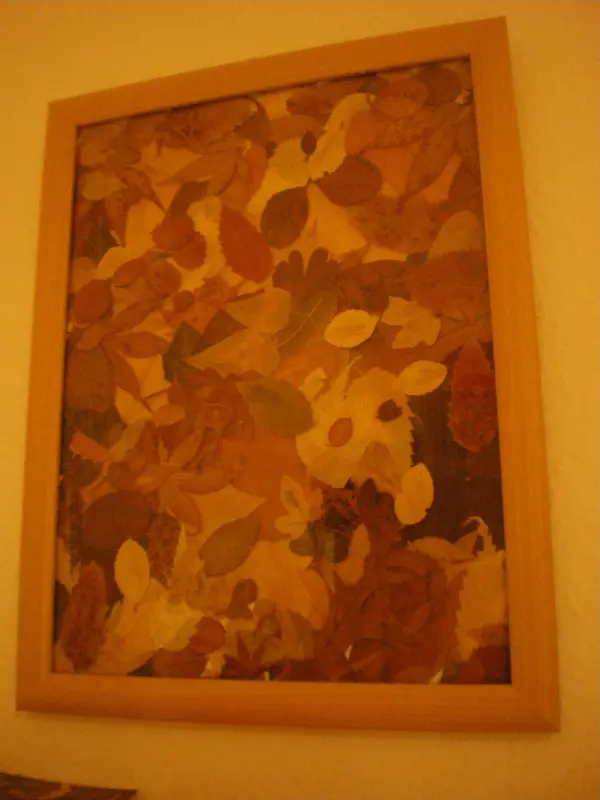 Ein gerahmtes Kunstwerk aus farbigen Blättern zeigt ein harmonisches Muster und hängt an einer Wand im Innenraum.