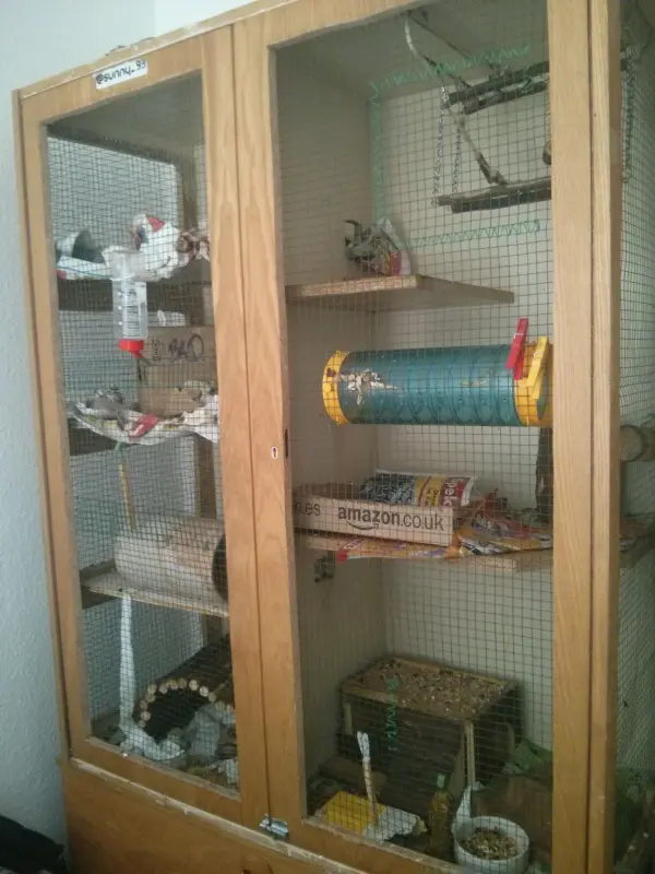 Ein Nagerkäfig aus Holz mit mehreren Etagen, eingerichtet mit Spielzeug und Nistmaterial, steht in einem Raum.