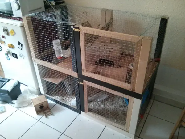 Ein selbstgebauter Nagerkäfig steht auf einem Fliesenboden. Er enthält mehrere Ebenen und ist mit Drahtgitter umgeben.
