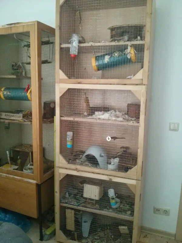 Ein vierstöckiger Nagerkäfig steht in einem Raum; die Käfige sind mit Spielzeug und Unterschlupfen für Nager ausgestattet.