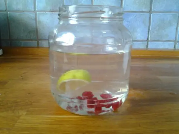 Ein Glas Wasser mit einer Zitronenscheibe und roten Beeren enthält die Zutaten für die Limonade mit Wasserkefir.