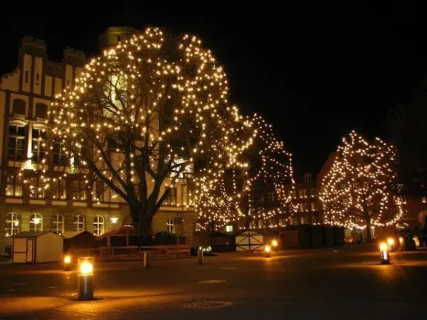 Beleuchtete Weihnachtsbaumkette funkelt in der Nacht, umgeben von festlich erleuchteten Bäumen und einem ruhigen Platz.