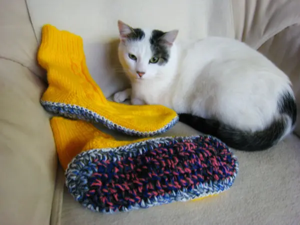 Gestrickte Socken mit dicken Sohlen liegen neben einer Katze auf einem Sofa, warm und gemütlich arrangiert.