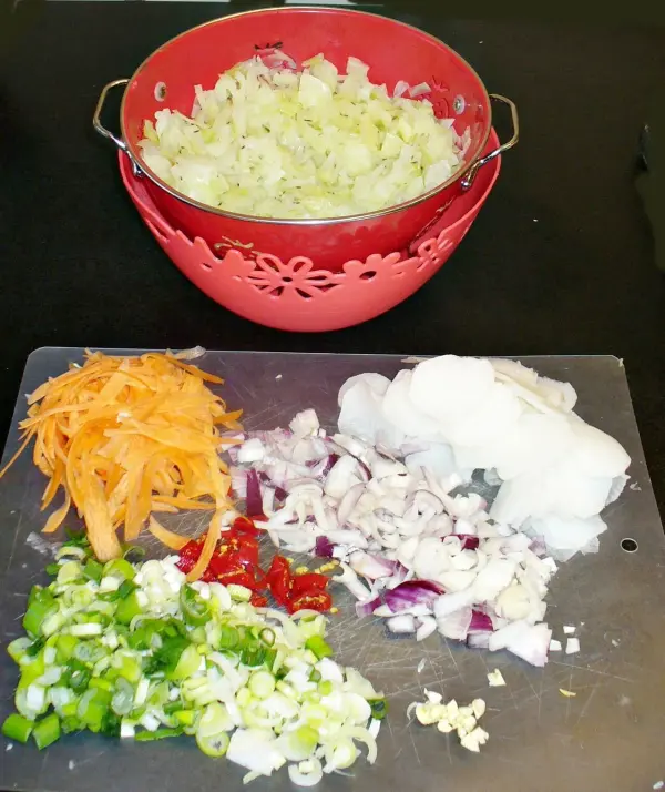 Eine rote Schüssel mit fein geschnittenem Weißkohl steht auf einem Tisch, umgeben von anderen geschnittenen Zutaten für Kimchi.
