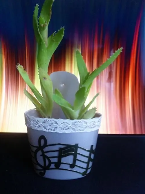Ein Blumenbehälter mit einer Pflanze steht vor einem farbenfrohen Hintergrund und verleiht einem Raum Lebensfreude.