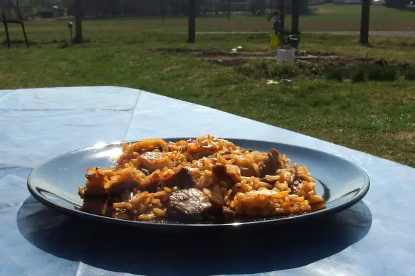 Auf einem Tisch im Freien steht ein schwarzer Teller mit Reis und Fleisch. Im Hintergrund sind Wiesen und Bäume sichtbar.