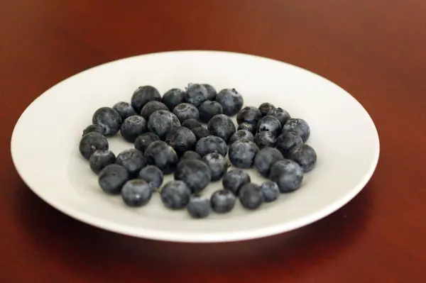 Saftige Heidelbeeren liegen auf einem weißen Teller und warten darauf, für erfrischende Heidelbeer-Joghurt-Eisspieße verarbeitet zu werden.