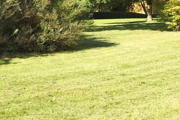 Ein gepflegter Rasen liegt in einem Garten mit Bäumen im Hintergrund, der ordentlich gemäht und sonnig ist.