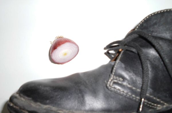 Ein schwarzer Glattlederschuh liegt auf einem neutralen Hintergrund, während eine rote Zwiebel daneben positioniert ist.