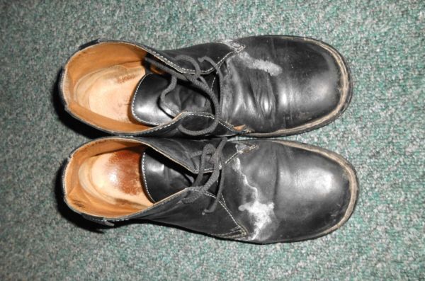 Schwarze Glattlederschuhe mit Wasserrändern liegen auf einem grünen Teppich, bereit zur Reinigung und Pflege.
