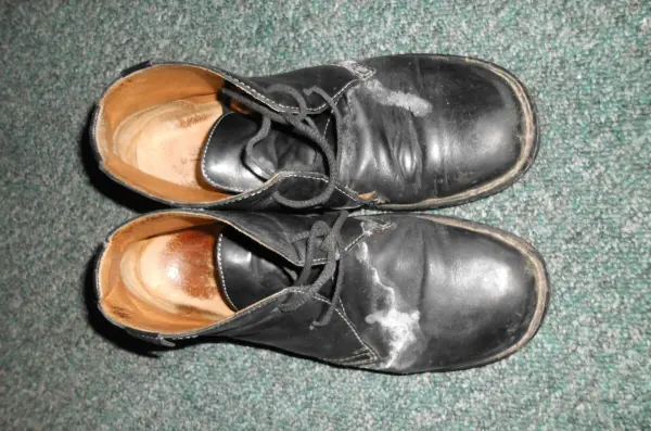 Schwarze Glattlederschuhe mit Wasserrändern liegen auf einem grünen Teppich, bereit zur Reinigung und Pflege.