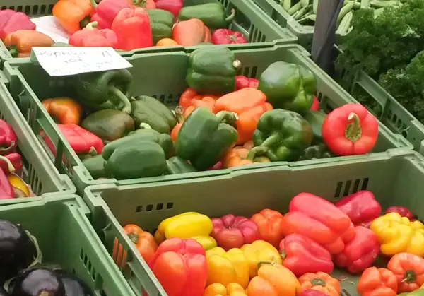Bunte Paprika liegen in grünen Kisten auf einem Markt, darunter grüne, gelbe und rote Sorten, die zum Kauf einladen.