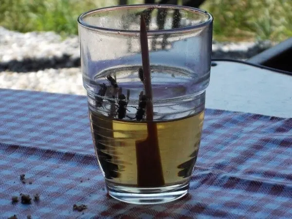 Ein Glas mit Getränk und einem Holzstäbchen steht auf einem Tisch, umgeben von Natur, um Wespen fernzuhalten.