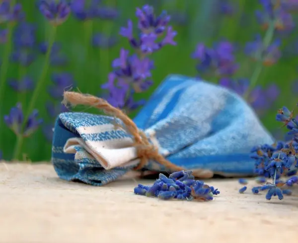 Mit selbstgemachten Lavendelsäckchen bringst du frischen Duft in dein Zuhause und nutzt Lavendel direkt aus dem Garten.