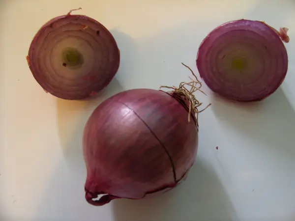 Eine ganze rote Zwiebel liegt auf einem weißen Untergrund, flankiert von zwei Zwiebelhälften, die das Innere zeigen.
