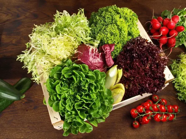 Frischer Salat in einer Kiste, bunt gemischt mit verschiedenen Blattgemüsen und roten Kirschtomaten auf einem Holztisch.