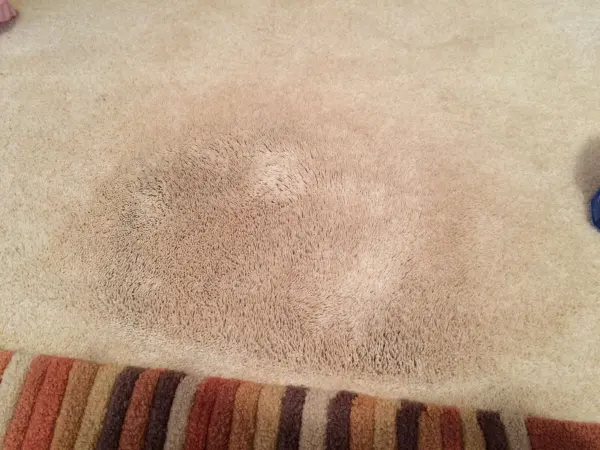 Ein getäfelter Teppich mit einem schmutzigen Fleck, der von Wachsmalstiftfarbe verursacht wurde, zeigt den Reinigungsbedarf.