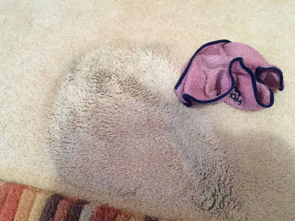 Helles Teppichmaterial mit unregelmäßigem Fleck, daneben ein lila Tuch, vermutlich zum Entfernen der Wachsmalstiftfarbe.