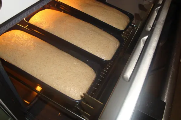 Drei Backformen mit ungarischem Brot befinden sich im Ofen, während sie goldbraun backen und aufgehen.