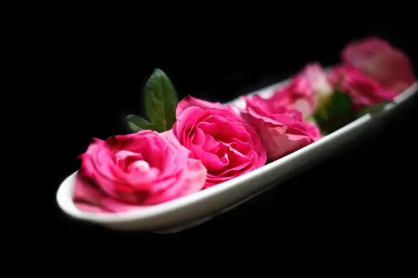 Rosen in einer weißen Schale liegen schön angeordnet auf schwarzem Hintergrund, was elegant und ansprechend wirkt.